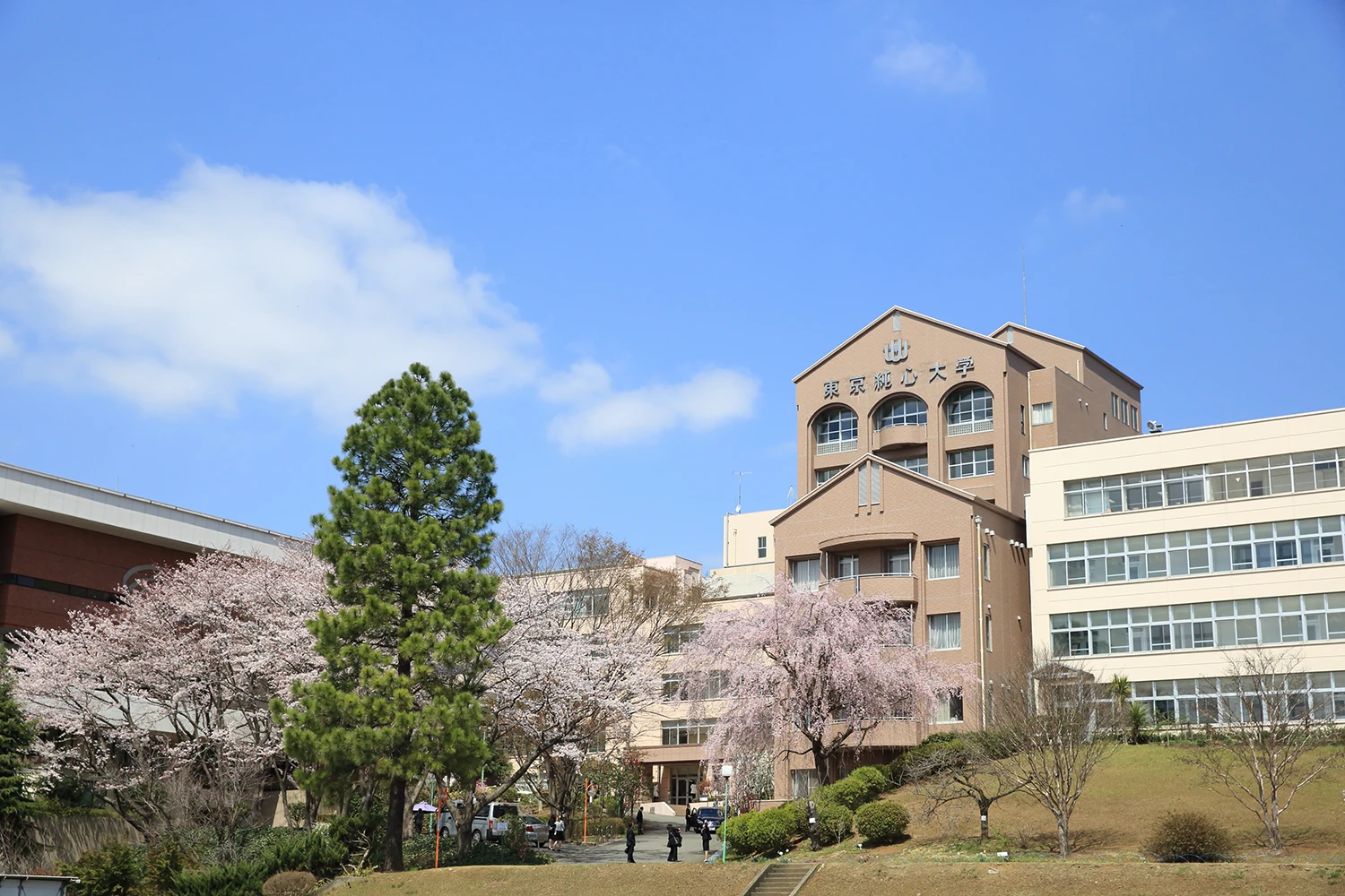 東京純心大学